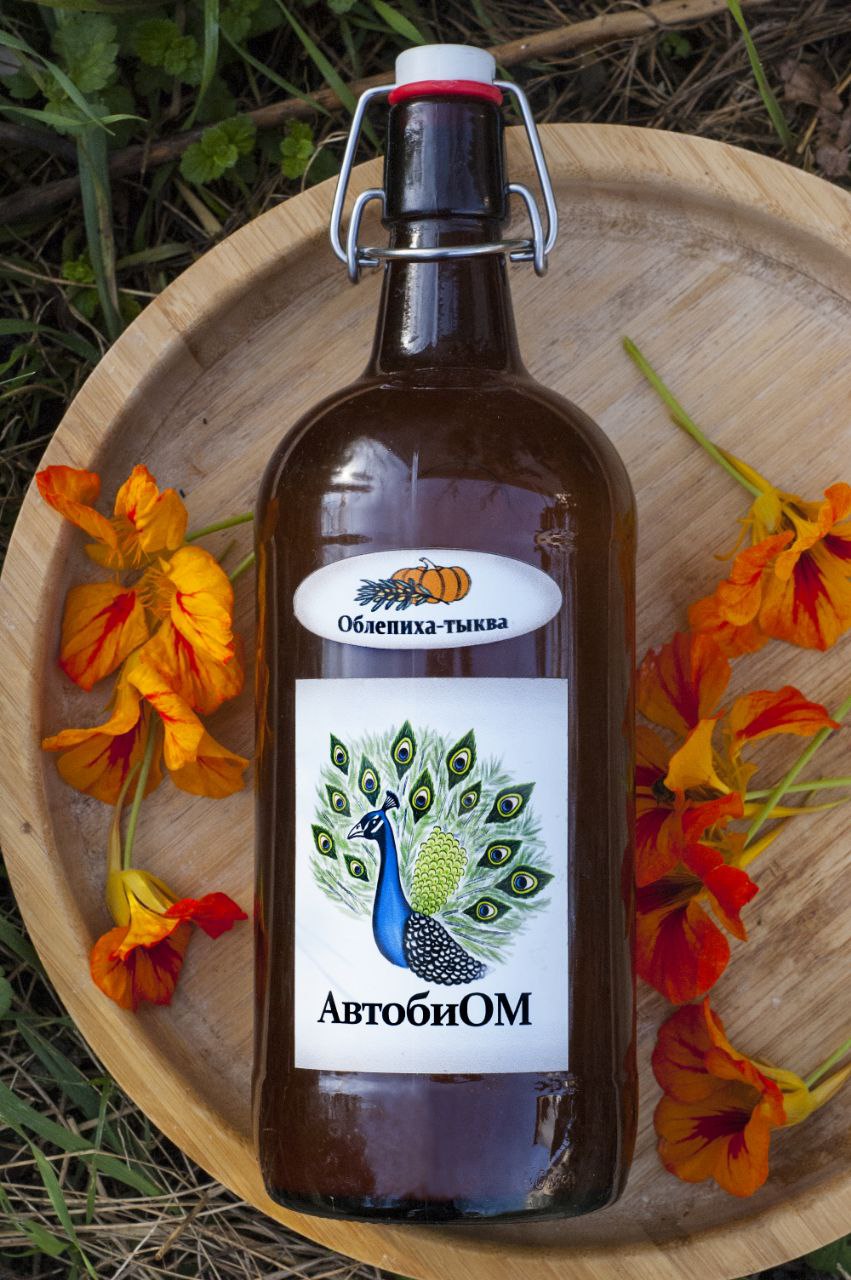 АвтобиОМ ОблепихаТыква